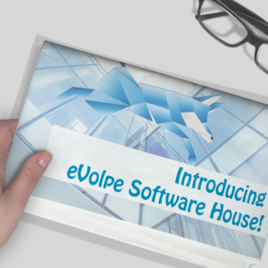 evolpe software house