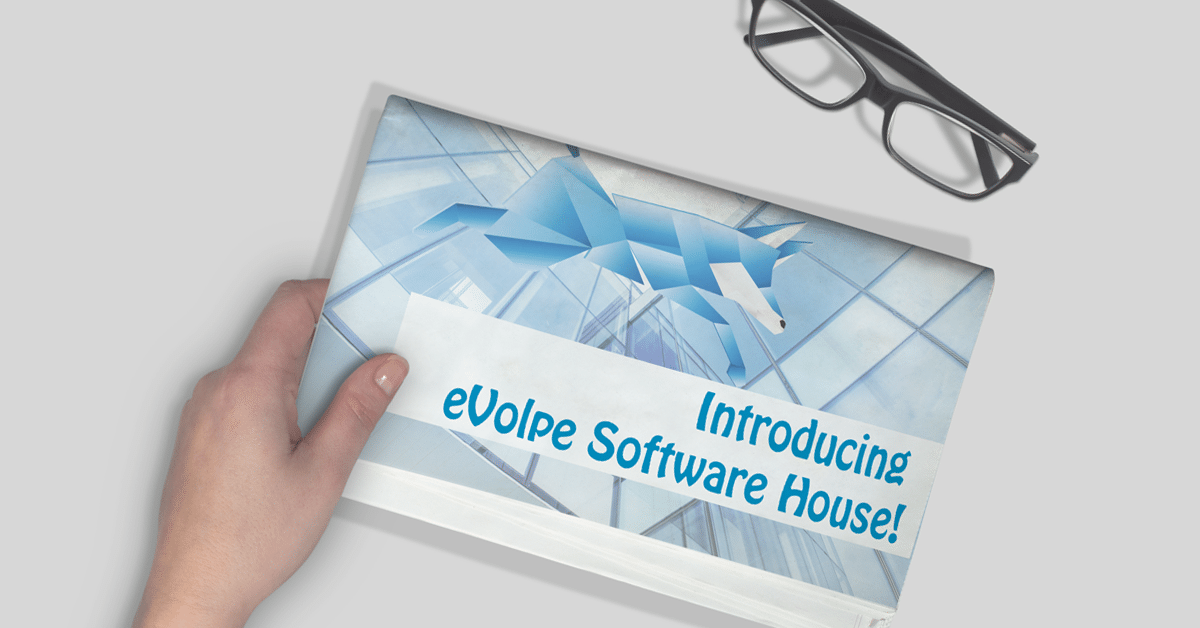 evolpe software house